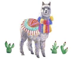 Traditional peruvian lama