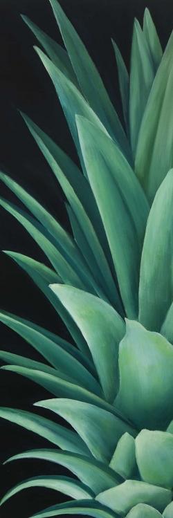 Feuilles d'ananas