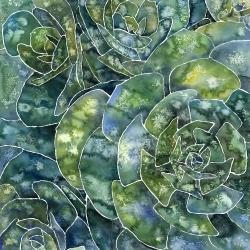 Abstract succulents