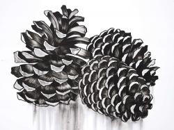 Three small pine cones