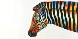 Colorful zebra