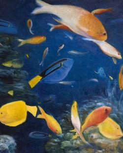 Poissons colorés sous l'océan