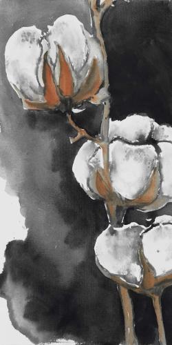 Fleurs de cotton