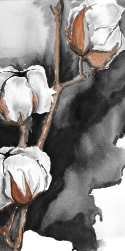 Fleurs de cotton sur fond noir