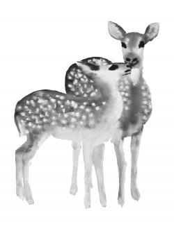 Fawns love