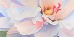 Pastel colored flower