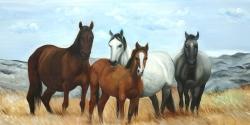 Horses in the meadow by the sun