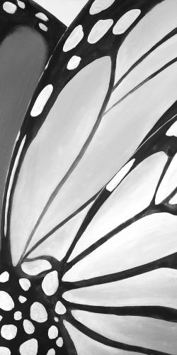 Monarch wings closeup