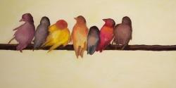 Bird family
