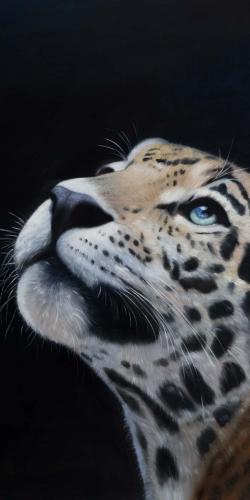 Realistic leopard face