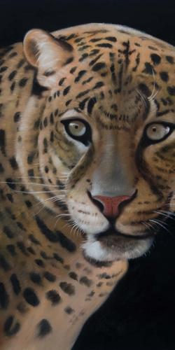 Realistic fierce leopard