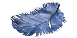 Plume bleue à l'aquarelle