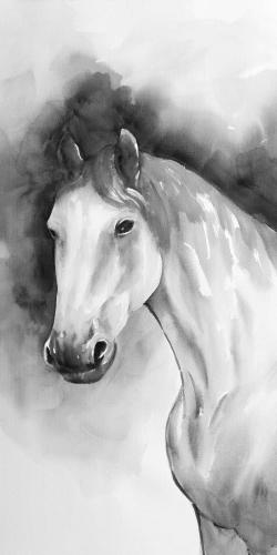Domino le cheval