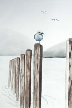 Mouette à la marina