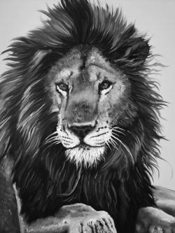 The lion king