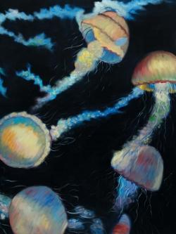 Colorful jellyfishes in the dark
