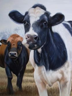 Deux vaches mangeant le foin