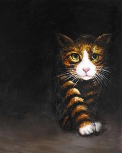 Discreet cat