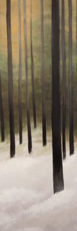 Forêt silencieuse