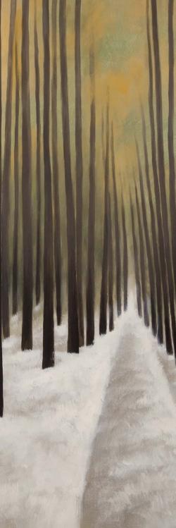 Randonnée en forêt