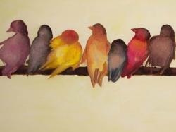 Bird family