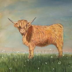 Daisy la vache highland