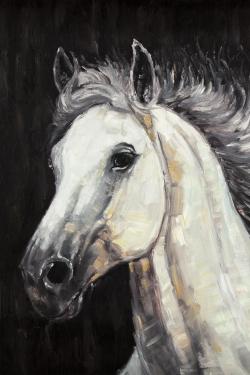 White star horse