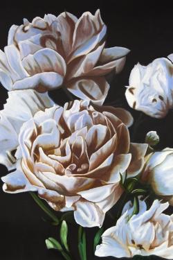 Peonies