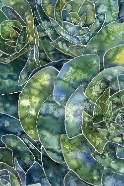 Abstract succulents