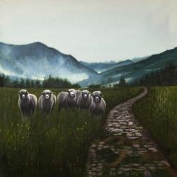 Moutons à la campagne