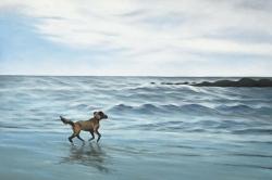 Chien à la plage