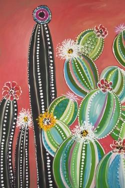 Cactus en arc-en-ciel