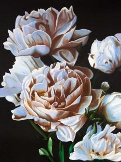 Peonies