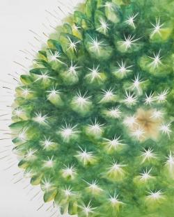 Watercolor mini cactus