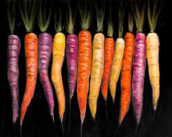 Variétés de carottes
