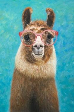 Aimable llama