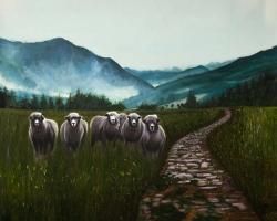 Sheep in the countryside