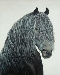Wild heart horse