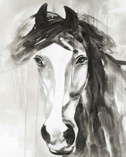 Magnifique cheval sauvage