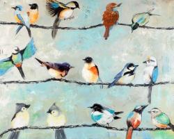Small colorful birds