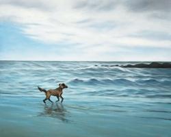 Chien à la plage