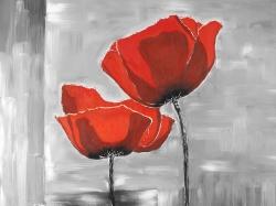 Two red flowers on a grayscale background