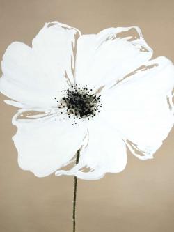 Abstract color splash petals flower
