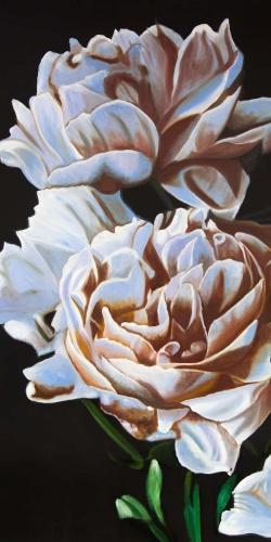 Peonies