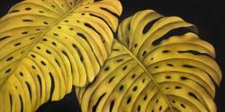 Feuille monstera doré