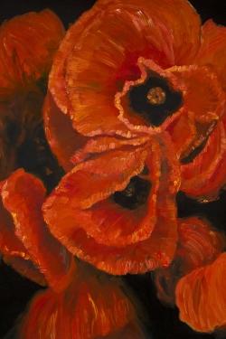 Poppy bouquet