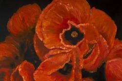 Poppy bouquet