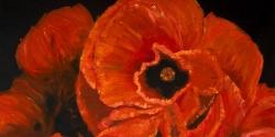 Poppy bouquet