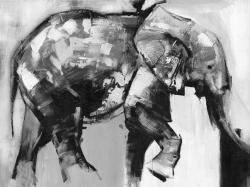 Beautiful monochrome elephant