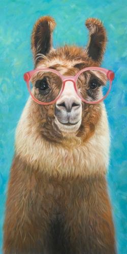 Aimable llama